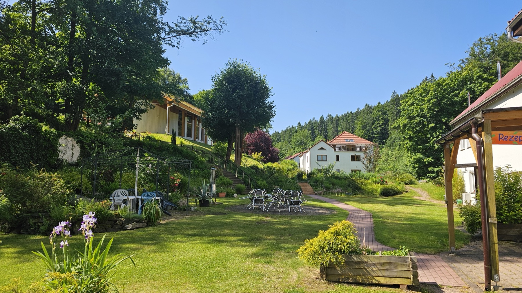 Entwicklung